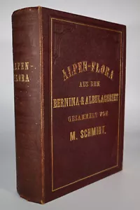 1890s Alpen Flora Bernina & Albula Gebiet Gesammelt M Schmidt 97 Dried Flowers - Picture 1 of 24