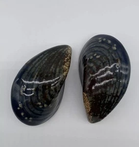 Set 2 Ceramic Mussel Sea Shells Home Decor Bivalve Mollusk Ocean Animal - Picture 1 of 9