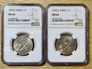 1950 & 1952 Britisch-Ostafrika 1 Schilling (2-Münzen-Lot), beide NGC MS-66 Top Pop! - Bild 1 von 14