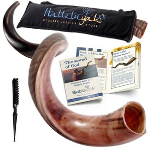 HalleluYAH Original Kosher Half-Polished Kudu Shofar From Israel - Picture 1 of 7