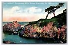 The Ostrich Seventeen Mile Drive Monterey County CA Divided Back Postcard