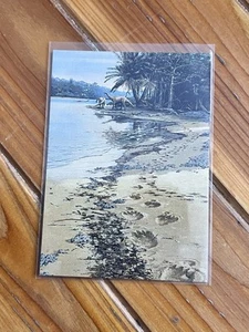 Canadian Museum Of Nature Dinosaur Trading Card #16 - Bild 1 von 2