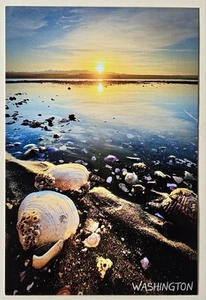 Postales de Washington. Playa Puget Sound. - Imagen 1 de 2