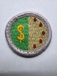 Insignia de mérito de gestión personal (plateada) BSA - Tipo J Scout Stuff Back - Imagen 1 de 1
