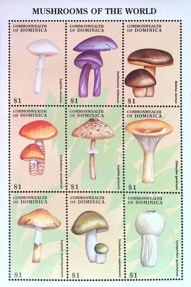 P) 1998 DOMINICA, COGUMELO DO MUNDO, MINISSHEET, BOLETUS ORNATIPES, MORCHELLA - Imagem 1 de 1