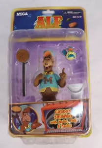 NECA Alf Gordon Shumway with Mallet, Fish & Bucket Figure New Distressed Package - Picture 1 of 5