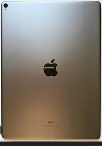 APPLE I PAD WITH TIKTOK DOWNLOADED AND CELLULAR CAPABILITY - Picture 1 of 1