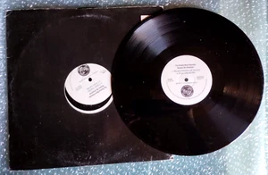 THE BRAND NEW HEAVIES : DREAM ON DREAMER (2 x PROMO REMIXES) ▶ 12" MAXI 45 PROMO - Imagen 1 de 6