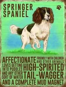 Springer Spaniel Großes Stahlschild 400mm x 300mm (Og) - Bild 1 von 1