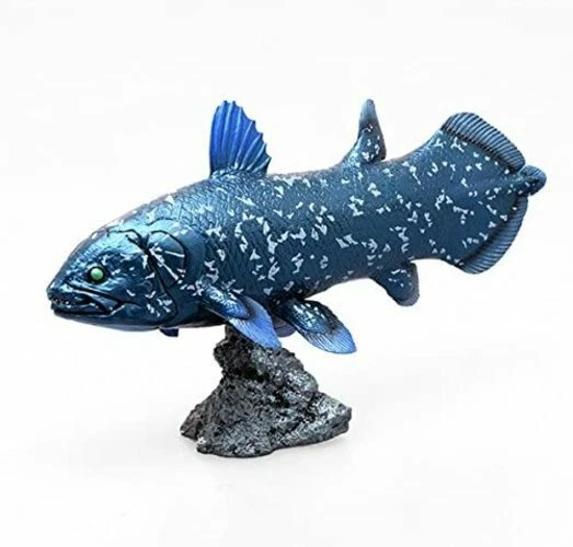 Favorite Figure 77711 Ancient Fish Coelacanth Soft Model From Japan