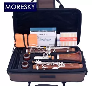 Clarinetto Professionale Spedizione Gratuita 18 Chiavi Argento Bb M121 Legno Rosso - Foto 1 di 5