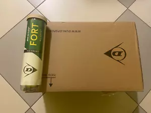 NEW!! palline 2025 Dunlop Fort TS 18 tubi da 4 spedizione inclusa - Foto 1 di 1