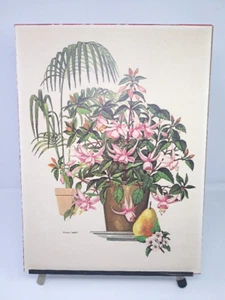 Vtg Floral Botanical Illustration Art Repro Signed Anthony Gruerio Fuschia 16x12 - Picture 1 of 18