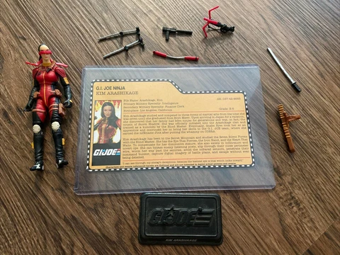 GIjoe FSS 1.0 Collectors Club Exclusive Jinx Kim Arashikage 💯 Complete As Seen! Cover