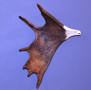🦅 19" Hand-Carved Moose Antler Eagle Art by Kevin Peters – Canada - Wall Mount - Picture 1 of 5