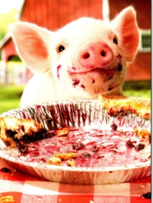 AVANTI BLUEBERRY PIE PIG BIRTHDAY GREETING CARD New w/ Envelope Humor CF5 - Image 1 of 3