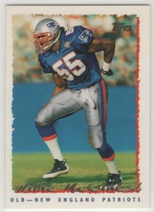 1995 Topps Football New England Patriots Team Set - Imagen 1 de 1