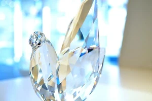 Swarovski Colomba Splendido Uccellino Elegante Pace Contemporanea 5279325 Nuovo Con Scatola - Foto 1 di 4