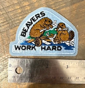 SCOUTS CANADA Badges Patches YOU CHOOSE Vintage Beaver Cub Assortment Collector - Picture 1 of 8