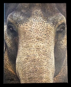 Elefant Leinwand Wandkunst Original 11x14"" Druck Terrie McClay siehe Fotos & lesen - Bild 1 von 7