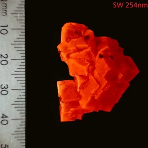 Halite fluorescent cubic crystal cluster rock salt specimen Salton Sea 41.5ct - Picture 1 of 9