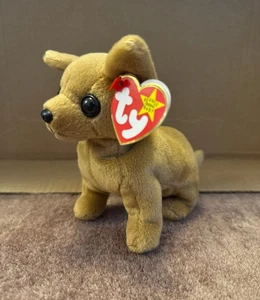 NWT Ty Beanie Baby Chihuahua Dog Tiny - Picture 1 of 1