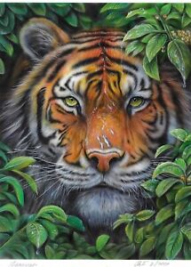 original painting 30 x 40 cm 52ChE artwork acrylic airbrush tiger portrait 2024