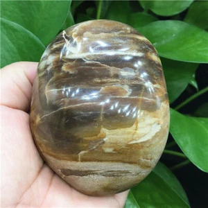 327g Beautiful Petrified Wood Fossil Crystal Freeform Madagascar    W761 - Picture 1 of 9