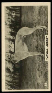 Lambert & Butler - 'Who's Who in Sport 1926' (1926) - Jovial Judge (Greyhound... - Picture 1 of 2