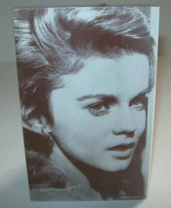 Ann Margret Postkarte unbenutzt Vintage schwedisch amerikanische Schauspielerin Arcade Karte neu aus altem Lagerbestand - Bild 1 von 3