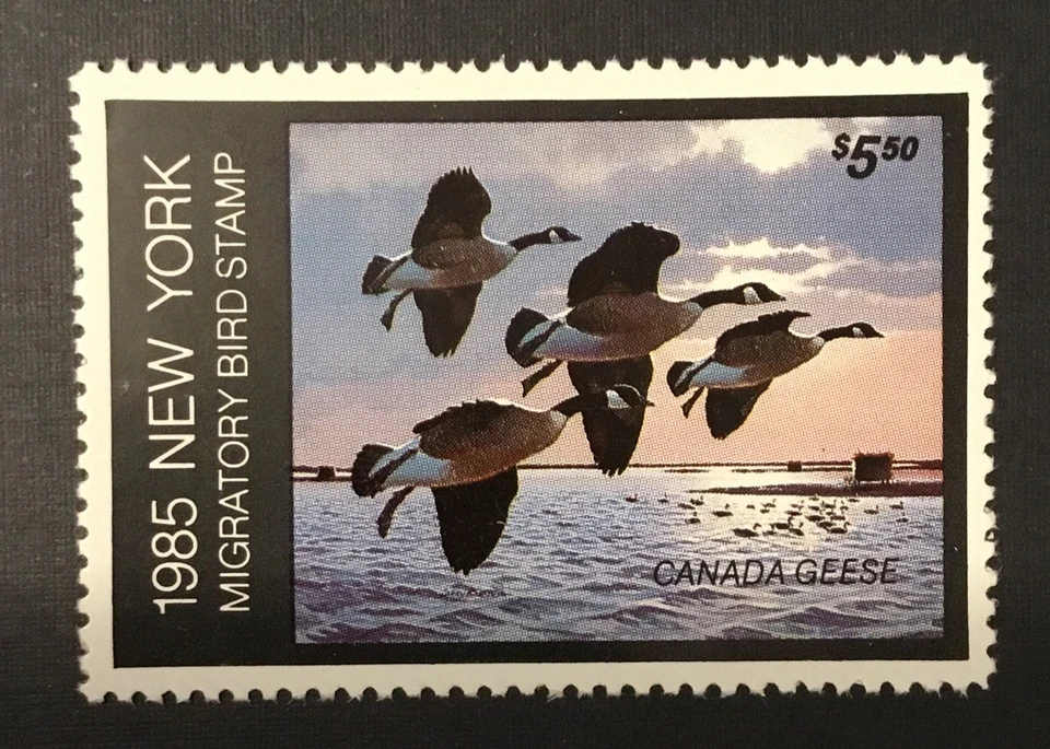 NEW YORK STATE DUCK #1 - MINT NEVER HINGED  -   SCV:  $13.00 - Image 1 of 1