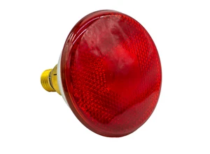 Par38 80W Reflektorlampe E27 dimmbar Rot - Bild 1 von 1