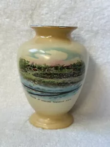 vintage shelley souvenir vase early view of scene at narooma township n.s.w - Picture 1 of 6