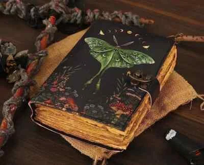 Blank Spell Book of Shadows Luna Moth Journal Diary With Lock Closure For Poetry - Image 1 of 4