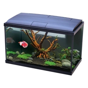 Interpet Betta Aquarium LED 22 Litre With Filter - Complete Starter Kit - Black - Picture 1 of 3