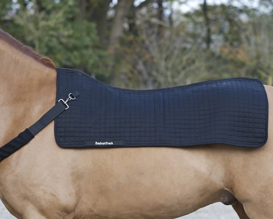 Abverkauf! Back on Track Rückenwärmer Royal anatomischer Rückenschoner 105x80 cm - Bild 1 von 1