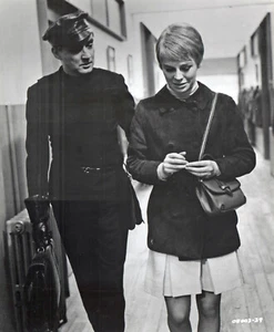 FARHRENHEIT 451 - 1966-F.TRUFFAT-J.CHRISTIE-O.WERNER- 20,5 X 25 cm - Foto 1 di 1