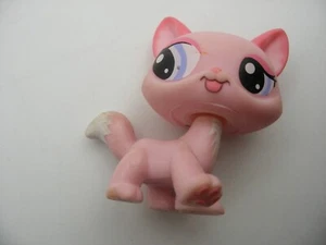 Hasbro Littlest PetShop PET SHOP #1313 Chat MAINE COON - Picture 1 of 2