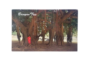 Lahaina Banyan Tree Postcard Maui Hawaii Old Vintage Card View Standard Post - Picture 1 of 2