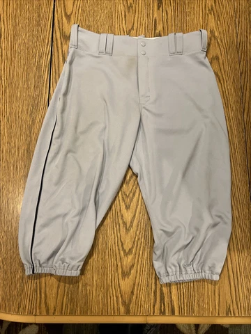 Majestic Detroit Tigers Ian Kindler Game used Pants Road Gray 08-19-2015 Cover