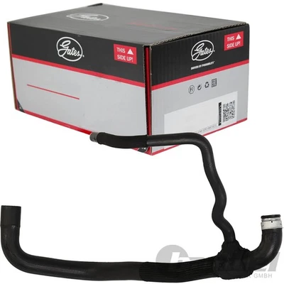 GATES Manguera Agua Fría Inferior Superior Apto Para Citroën Jumpy Fiat Scudo - Imagen 1 de 2