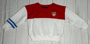 Polo Ralph Lauren Boys Pullover Multicolor 4/4T Sweatshirt USA Flag Long-Sleeve - Picture 1 of 5