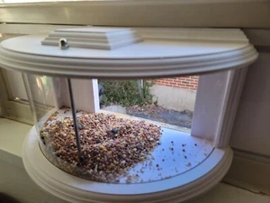 Window Bird Feeder 180° Clear View Bird Feeder Durable and Elegant in-Window - Picture 1 of 9