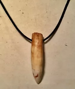 crocodile tooth Pendant Necklace exotic unique Australian made - Picture 1 of 6