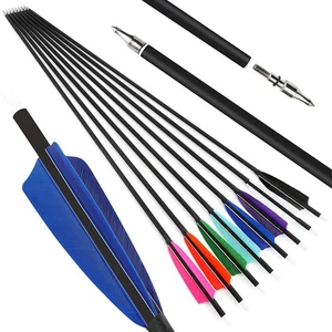 Archery Carbon Arrows SP500 4'' Turkey Feather Screw Broadheads Bow Hunting - Picture 1 of 26
