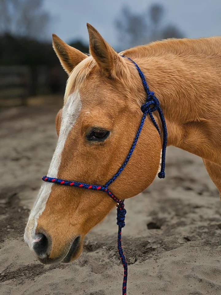 Soporte de cuerda trenzada Paracord de lujo con plomo Foto 1 de 4