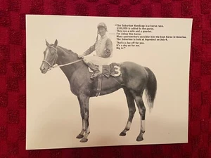 Champion BOLD LAD—1966 OVERSIZED REAL PHOTO POSTCARD—SECRETARIAT’S 1/2 BROTHER - Picture 1 of 2