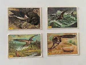 4 WWF Wildlife Nature Panini Retro Stickers 1986? Numbers 35 36 163 184 - Picture 1 of 2