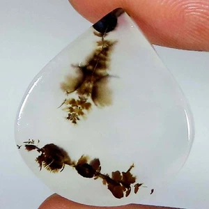 Scenic Dendritic Agate Pear Cabochon Brazilian Gemstone 13.85 CT 19x21x3 mm e139 - Picture 1 of 7