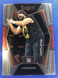 2022 #169 Cactus Jack Panini Select WWE Legend Premier Level Red & Blue